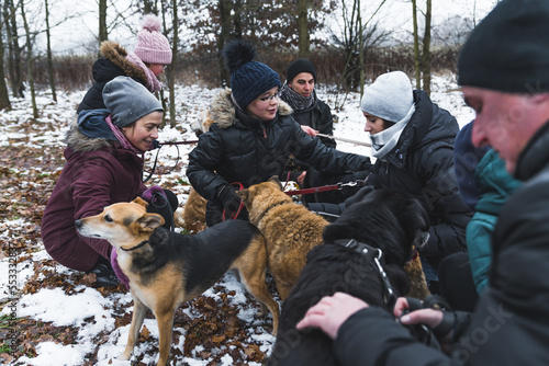 Happiness in voluntary work. Outdoor shot of a group of volunteers during a winter walk with shelter dogs. Forest in the background. High quality photo