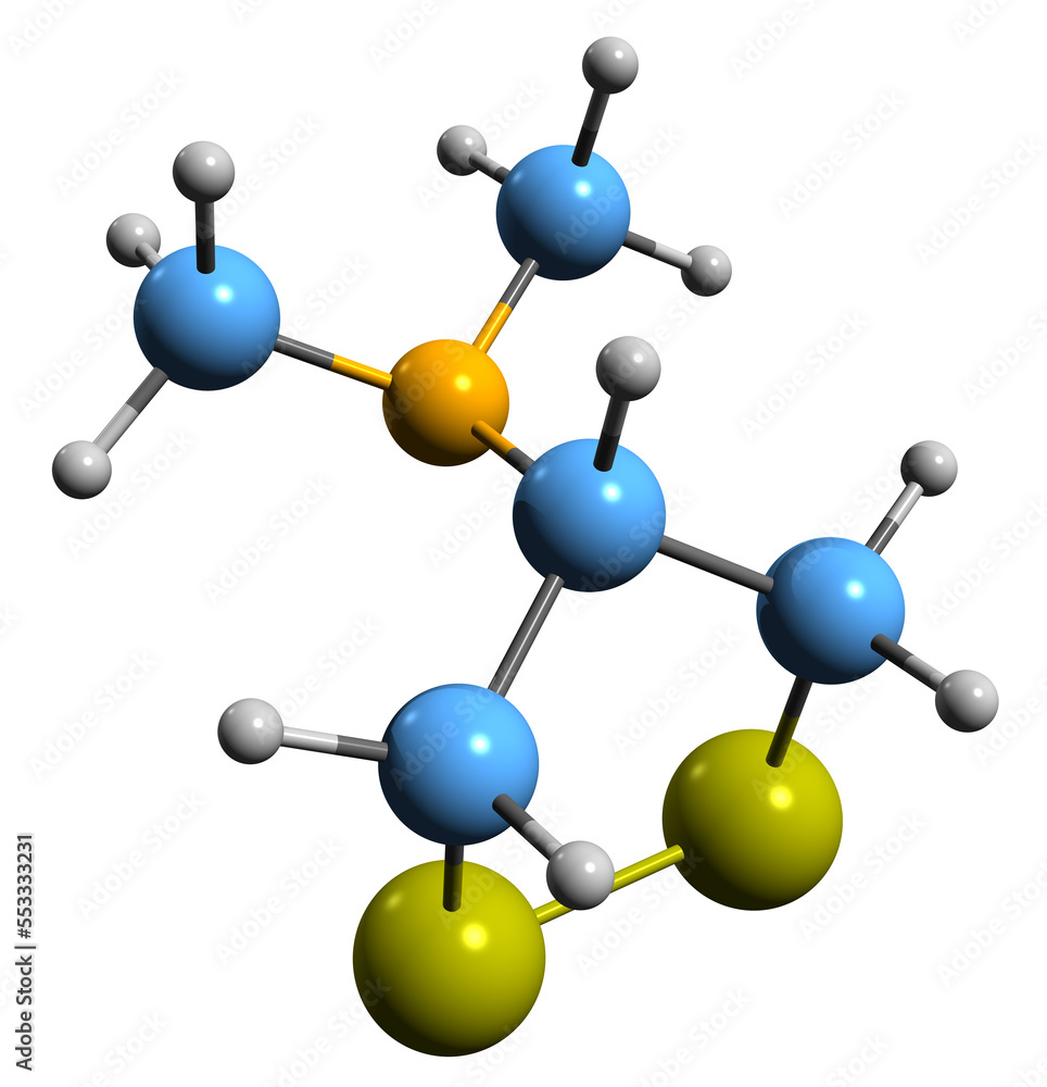3D image of Nereistotoxin skeletal formula - molecular chemical structure of Marine Toxin isolated on white background
3D image of Nereistotoxin skeletal formula - molecular chemical structure of Marine Toxin isolated on white background