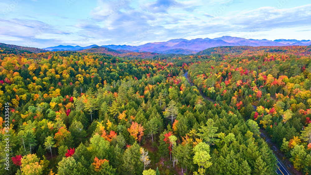 Aerial over hills and mountains of peak fall forests with road winding through
