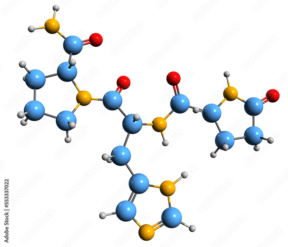 3D image of Thyrotropin-releasing hormone skeletal formula - molecular chemical structure of hypophysiotropic hormone isolated on white background 3D image of Thyrotropin-releasing hormone skeletal formula - molecular chemical structure of hypophysiotropic hormone isolated on white background