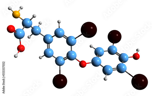  3D image of  thyroxine skeletal formula - molecular chemical structure of Thyroid hormone isolated on white background photo