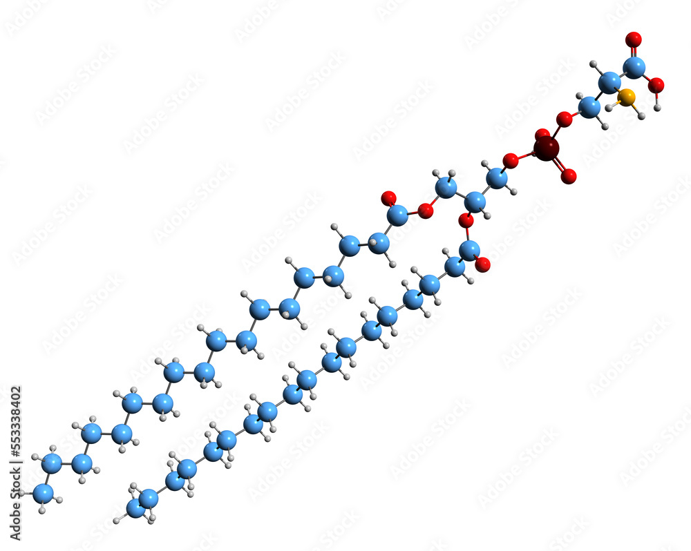 3D image of Phosphatidylserine skeletal formula - molecular chemical structure of phospholipid isolated on white background 3D image of Phosphatidylserine skeletal formula - molecular chemical structure of phospholipid isolated on white background