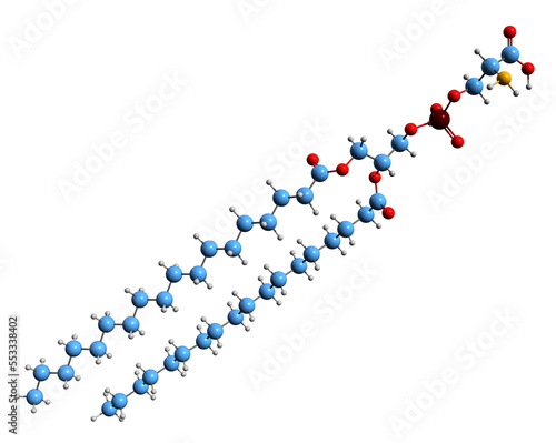  3D image of Phosphatidylserine skeletal formula - molecular chemical structure of phospholipid isolated on white background