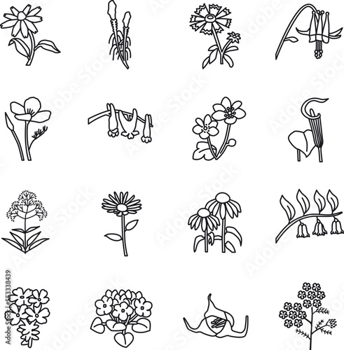 Wild flowers outline vector icons