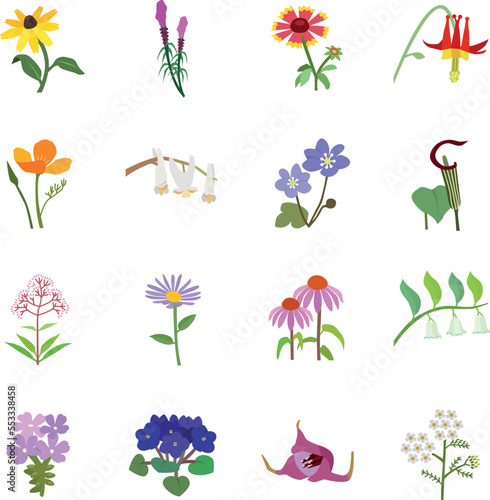 Fotografiet Wild flowers color vector icons