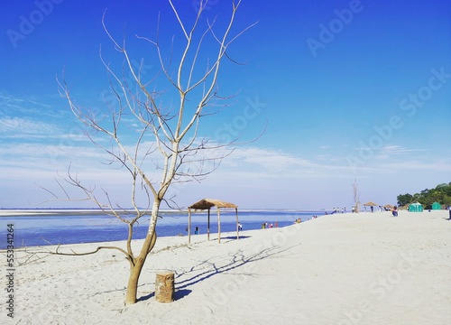 Bank of river Brahmaputra. Location - Panikhaiti picnic spot, Assam, India.  photo