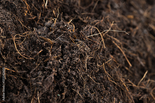 Black Fertilize Soil ready to planting, good organic soils with root for garden farming, pile set texture detail of soil with roots dust dirty. close up selective focus over White background Isolated