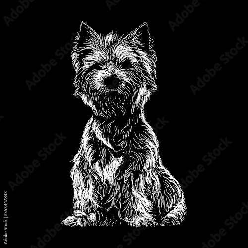 Westiepoo mix breed dog hand drawing vector isolated on black background.