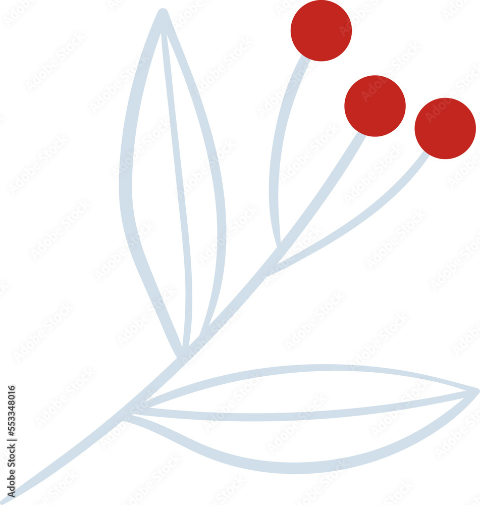 Winter botanical leaf branch Winter botanical leaf branch