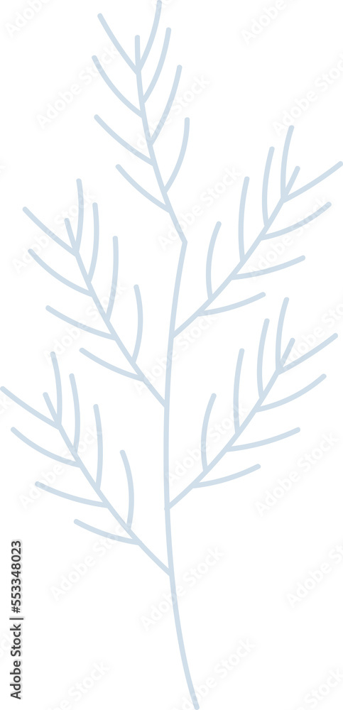 Winter botanical pine leaf branch Winter botanical pine leaf branch