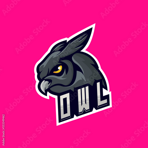 Owl mascot e sport logo design vector