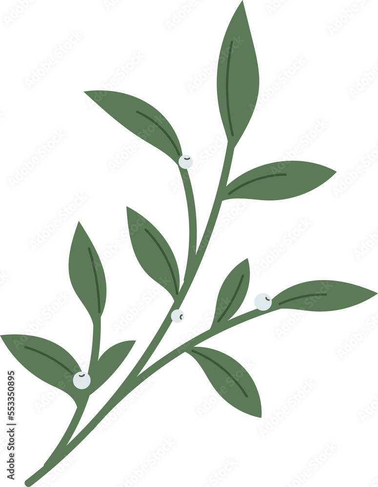 Fototapeta premium Christmas winter leaf branch