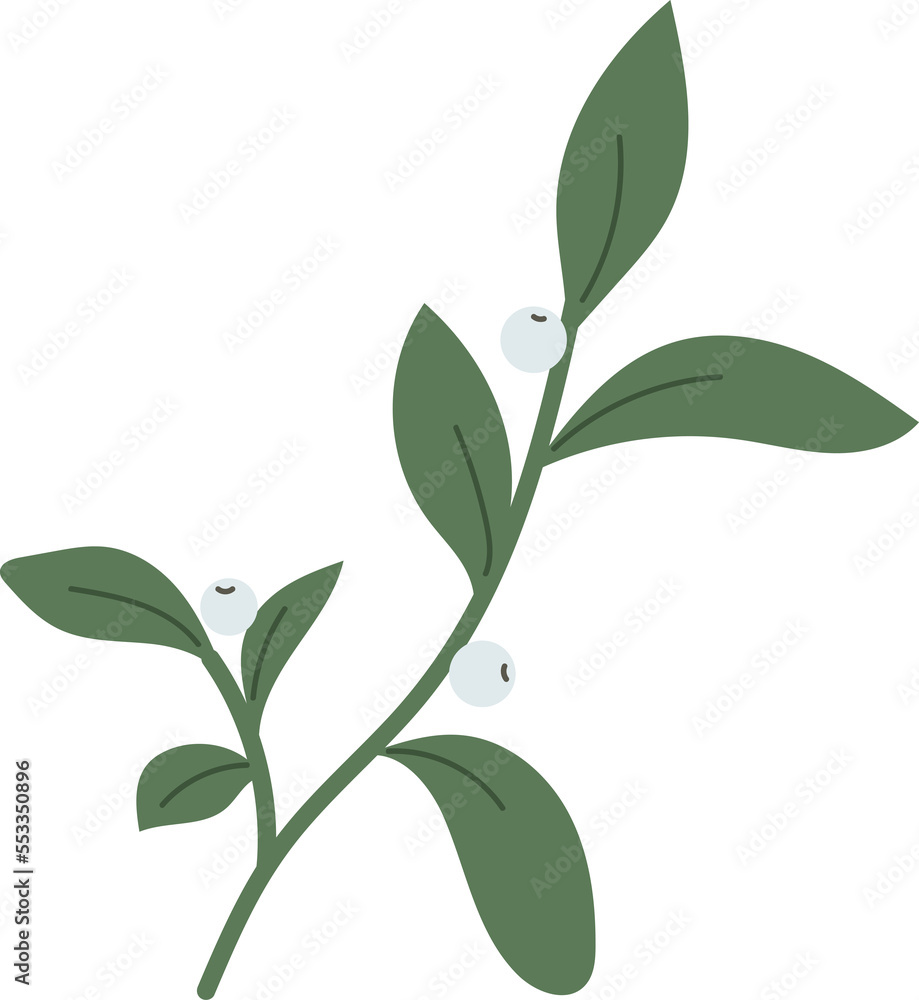 Christmas winter leaf branch Christmas winter leaf branch