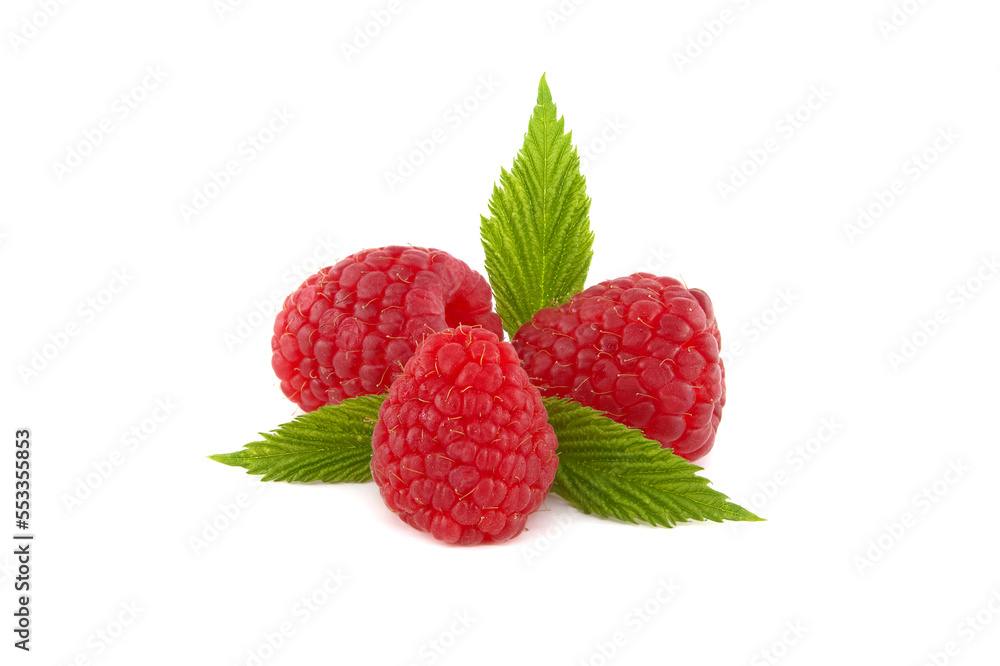 Raspberry berries isolated on white background Raspberry berries isolated on white background