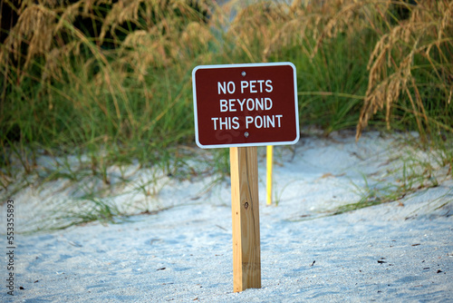 Signboard with warning about no pets beyond this point on seaside beach with small sand dunes and grassy vegetation on warm summer day