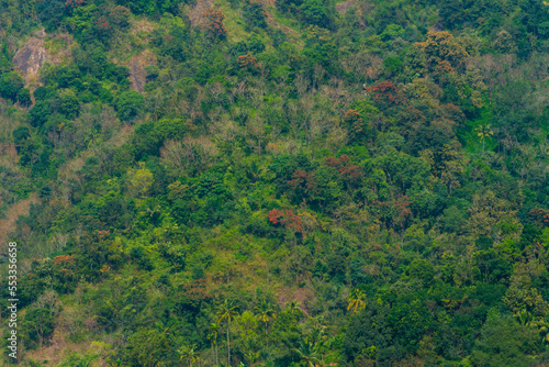 Arial view of vagamon hills