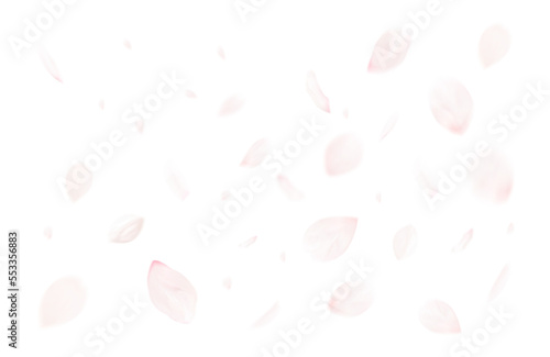 桜吹雪_サクラの花びら_舞い散る桜の花弁のイメージ｜背景透過切り抜き合成用png素材 photo
