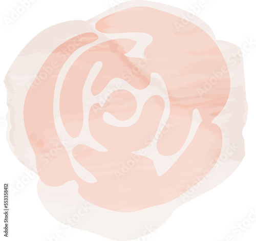 Watercolor rose flower illustration