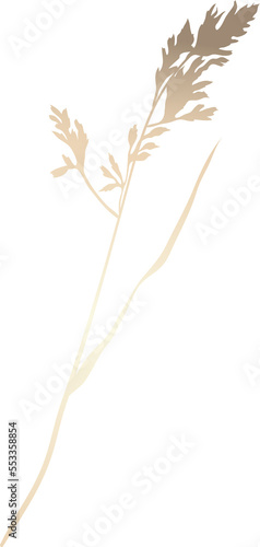 Gold hand drawn wild grass illustration