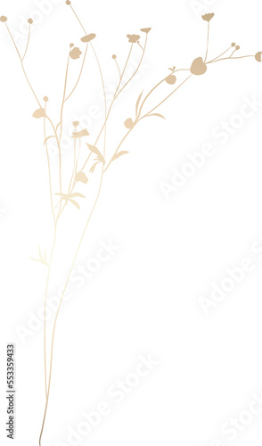 Fototapeta Naklejka Na Ścianę i Meble -  Gold hand drawn wildflower illustration