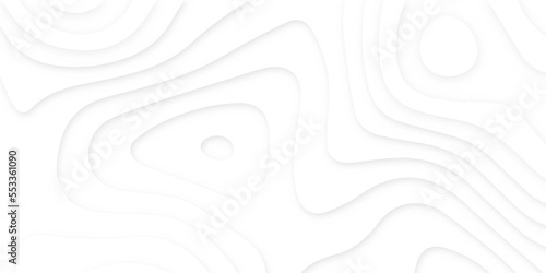 Fototapeta Naklejka Na Ścianę i Meble -  Abstract wavy line 3d paper cut white background. Topographic canyon geometric map relief texture with curved layers and shadow. Abstract realistic papercut decoration textured with wavy layers