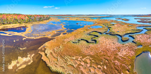 Obraz na plátne Fall forest surround marshes of Maine with winding creeks