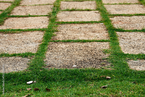 lawn, way, grass, garden, stone, walkway, pathway, footpath, landscape, pavement, outdoor, stones, sidewalk, lane