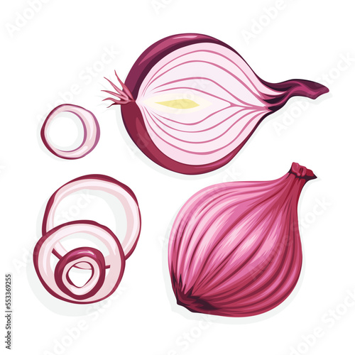 onion vegetable food red ingredient fresh organic healthy vegetarian spice slice plant red onion vector illustration