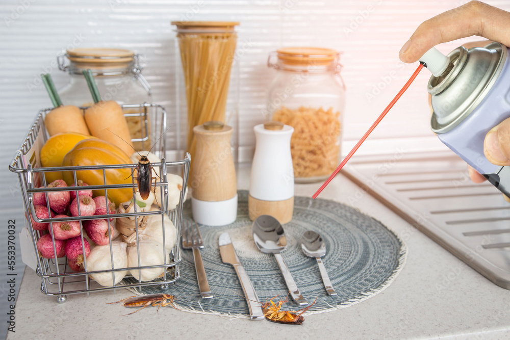 person killing cockroach with poison spray, cockroach on dirty floor