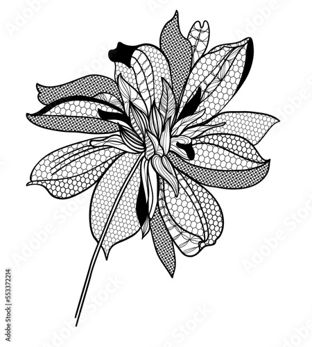 lace dahlias flowers and foliage. Vector illustration, bouquet.