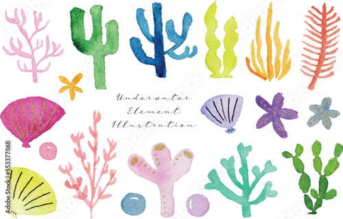 a set of cute hand painted summer coral  starfish  seaweed  and starfish watercolor