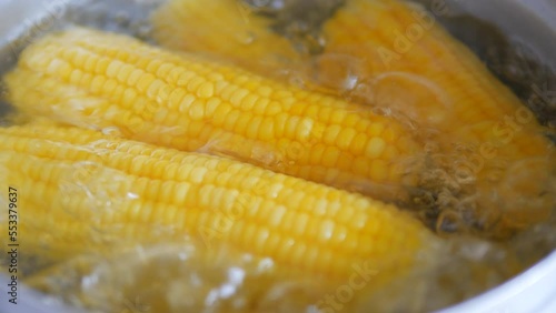 close-up boiled corn in a pot
