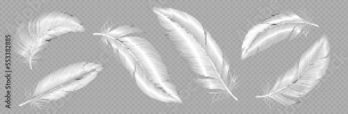 White soft feathers, bird plumage isolated on transparent background. Flying fluffy quills of angel, goose, swan or dove. Lightweight plumes set, vector realistic illustration