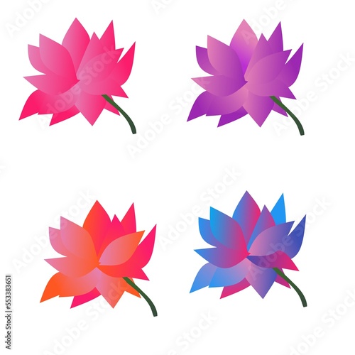 set of colorful lotus flower with white background 