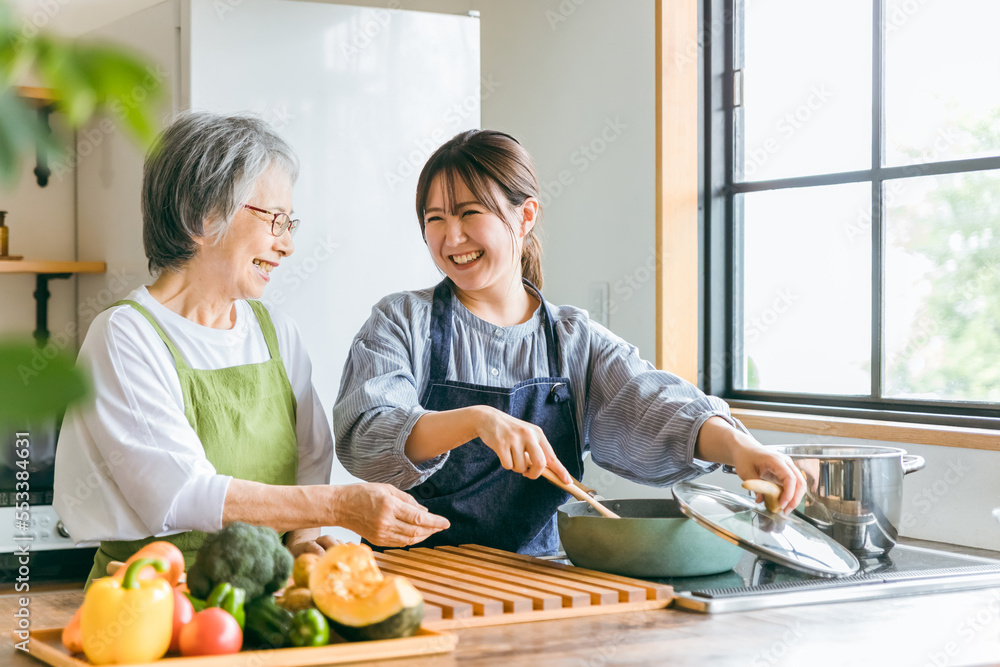 家のキッチンで一緒に料理・家事・自炊をする笑顔のアジア人高齢者女性と若い女性(家政婦・家事代行)
家のキッチンで一緒に料理・家事・自炊をする笑顔のアジア人高齢者女性と若い女性(家政婦・家事代行)