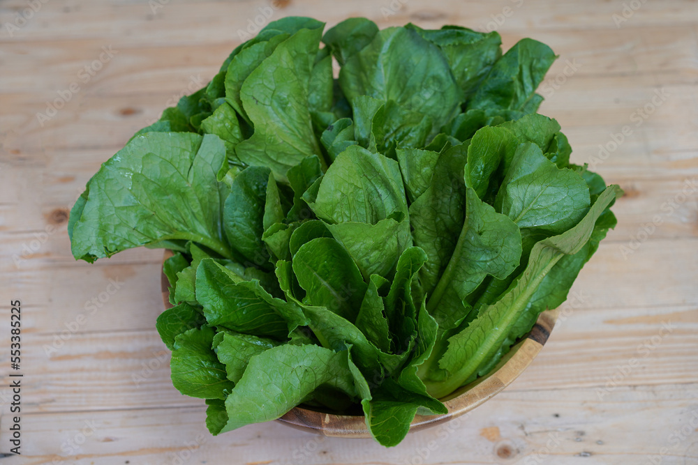 Salad Green Cos leaves is putting on wooden salad bowl. Salad Green Cos leaves is putting on wooden salad bowl.