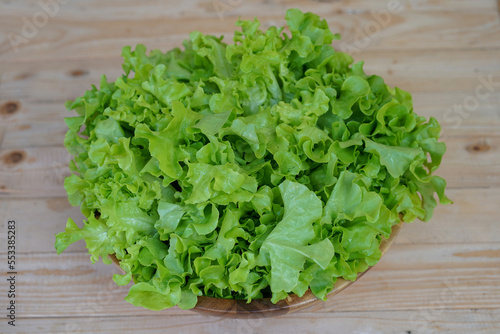 Green Oak salad leaves is laying on Wooden salad bowl.