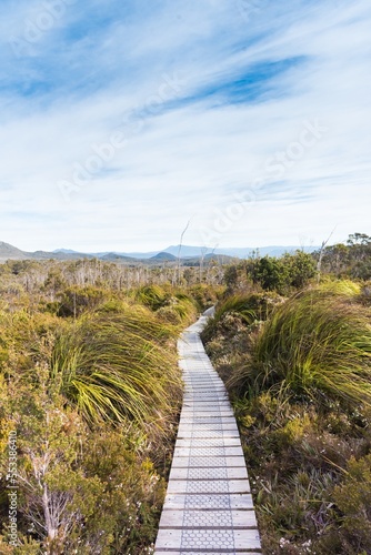 Tasmania Hartz Peak Walk in Beautiful Rainforest Nature (Australia)