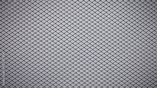 gray background, in the photo a metal mesh chain link on a gray sky background close-up