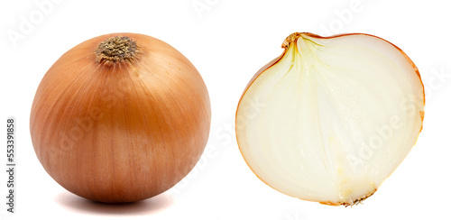 Set of onions images. Onion bulbs isolated. Whole golden onion bulb and a half on white background. Full depth of field. With clipping path