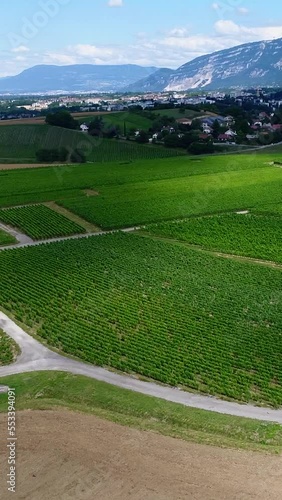 Vertical video of Aerial shot of a various fields around Geneva countryside photo