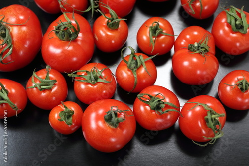 畑で採れたて新鮮トマトが並ぶ