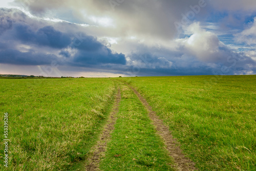 Landscape of a green path with clouds and blue sky in the background. Green country road with clouds in the background. Idyllic view of rural road between green fields with blue sky and clouds