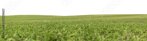 Green meadow field panorama transparent