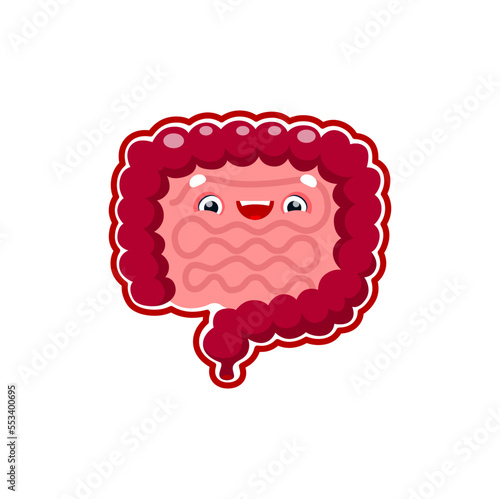 Cartoon gut human body organ character. Vector gastrointestinal system anatomical personage, happy intestine with healthy flora and cute smiling face