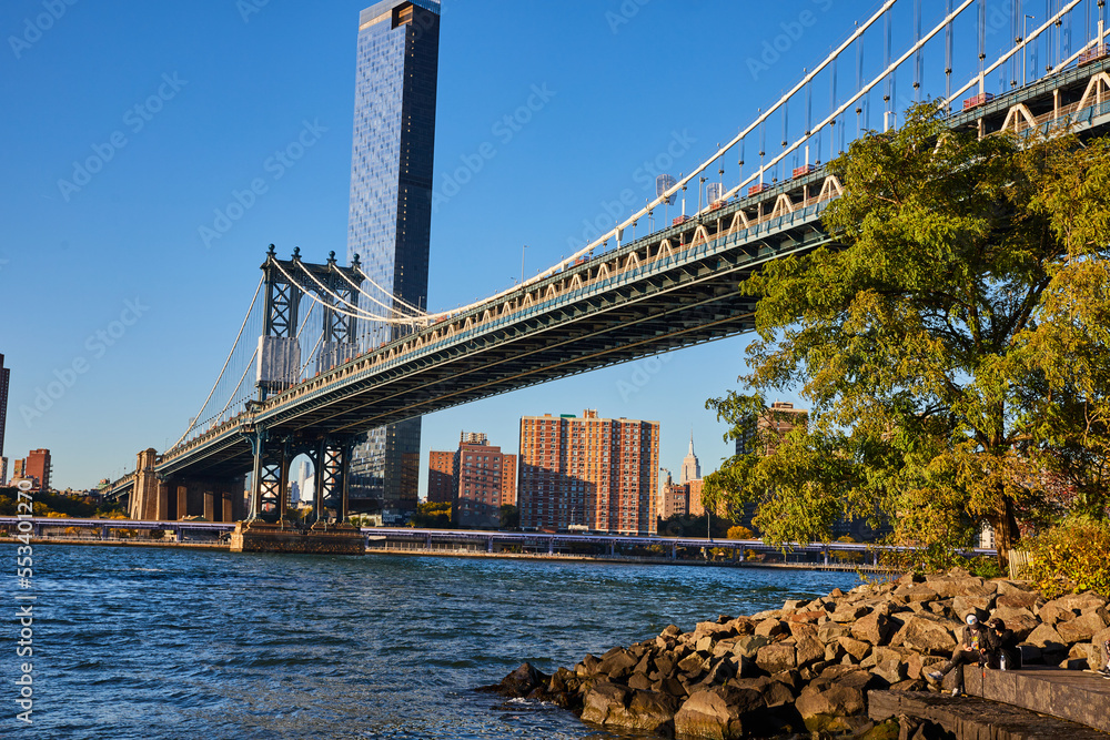 Fototapeta premium Rocky coast and tree with New York City skyline framing the Manhattan Bridge from Brooklyn