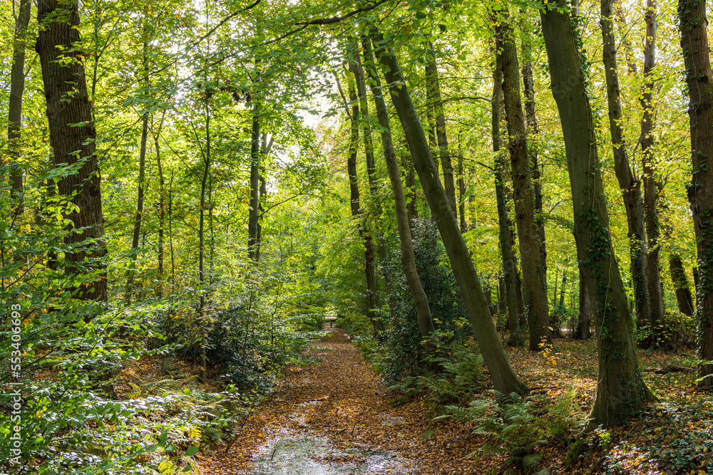Obraz premium Estate and park Nienoord in Leek municipality Westerkwartier Groningen province in The Netherlands