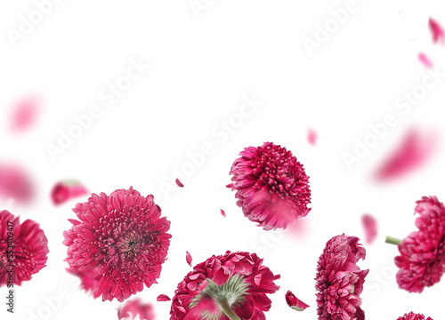 Floral border of flying pink flowers and petals, isolated © VICUSCHKA
