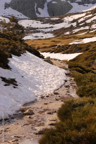 Paisaje nevado photo