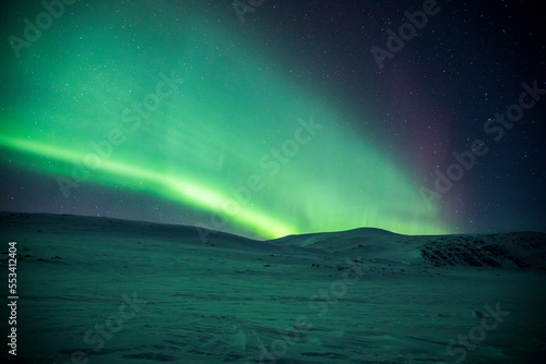 Northern lights in Reinheim Cabin  Dovrefjell National Park  Norway